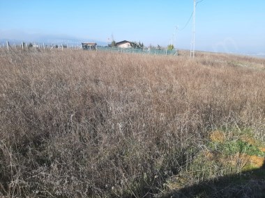 Çatalca Ferhatpaşa Mahallesi Satılık 350 m² Tarla Çaplı