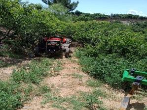 TURGUTLU SATILIK OSMANCIKTA 10 DÖNÜM MEYVE BAHÇESİ 