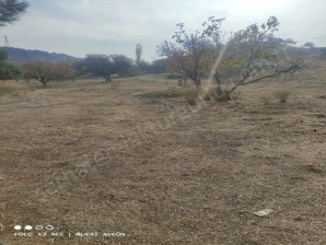 TURUTLU SATILIK ARSA AVŞAR MAH 3 KAT İMARLI 248M2 ELEKTRİK SU ALINABİLİR KAYA MAGNESİA OTELİN ARKASI