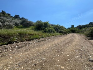 TURGUTLU SATILIK OSMANCIK TA 3.DÖNÜM MEYVE BAHÇESİ TEK TAPU YOLA CEPHE 