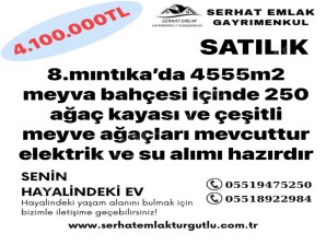 TURGUTLU SATILIK 8.MINTIKA 4555m2 TEK TAPU MEYVA BAHÇESİ
