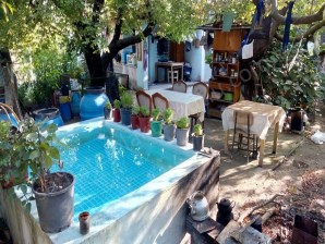 TURGUTLU SATILIK 8. MINTIKA DAVUTLU MEVKİİ 6,5 DÖNÜM ERİK BAHÇESİ 2 TAPUDAN OLUŞMAKTA 