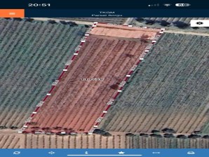 TURGUTLU SATILIK MUSULCALI KÖYÜNDE  4950M2 YETİŞKİN BAĞ  TEK TAPU 