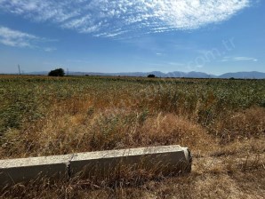 TURGUTLU SATILIK 7. MINTIKA 940M2 OTOBAN DİBİ TEK TAPU 100M2 HAZİNE ARAZİSİ  VARDIR 