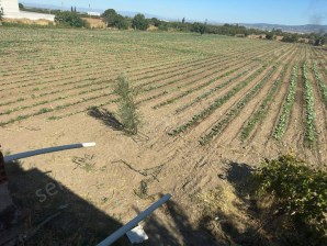 TURGUTLU SATILIK 9. MINTIKA 11.385M2 SANAYİ İMARLI YOLA SIFIR ARSA 