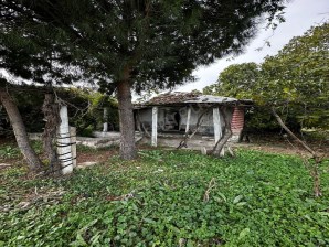 TURGUTLU SATILIK ARAZİ 9. MINTIKADA 14 DÖNÜM 2 TAPUDAN OLUŞMAKTADIR 