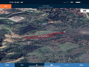 TURGUTLU SATILIK TARLA DERBENT MAH 4.495M2 YOLU VAR KÖYÜN ÜST TARAFINDA 