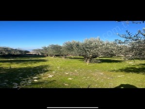 TURGUTLU SATILIIK ARSA 166M2 3 KAT KONUT İMARLI KÖYÜN ÜSTÜNDE 