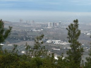 TURGUTLU SATILIK TARLA IRLAMAZ MAH 5.870M2 TEK TAPU ÖZLELLİKLERİ AÇIKLAMADA 