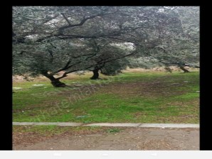 TURGUTLU SATILIK AVŞAR MAH 260M2 3 KAT KONUT İMARLI 