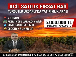 TURGUTLU SATILIK URGANLI MAH 7000M2 ÜZÜM BAĞI SU KANALDA HAZIR YOLU VAR 