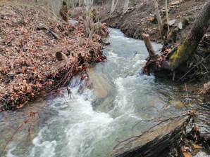 TURGUTLU SATILIK DAĞYENİKÖY 1.175M2 BAĞBAHÇE YER DÜZ VE DERE KENARI İÇİNDE 13 AĞAÇ CEVİZ VAR  