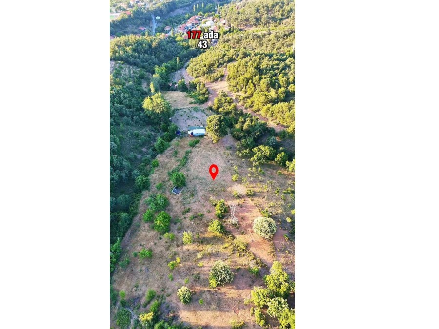 TURGUTLU SATILIK BAĞ BAHÇE  DAĞYENİ KÖYDE 1441M2 YOLU AÇILMIŞTIR ELEKTRİK SU ALINABİLİR  