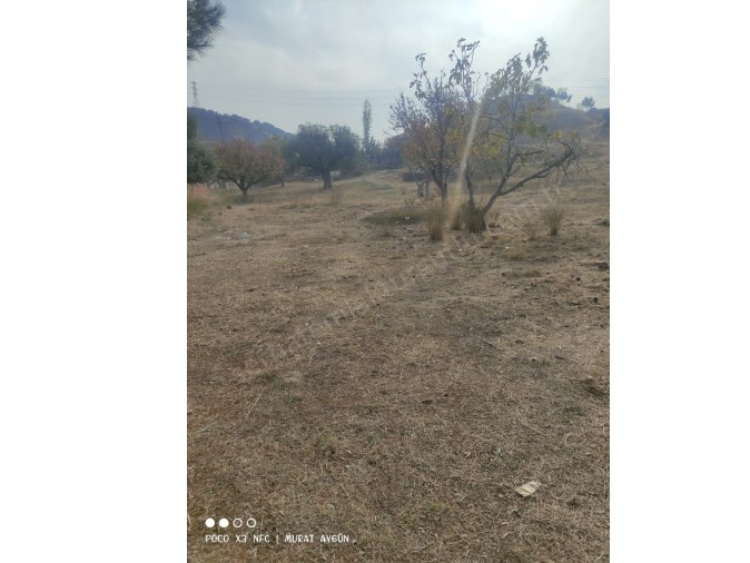 TURUTLU SATILIK ARSA AVŞAR MAH 3 KAT İMARLI 248M2 ELEKTRİK SU ALINABİLİR KAYA MAGNESİA OTELİN ARKASI
