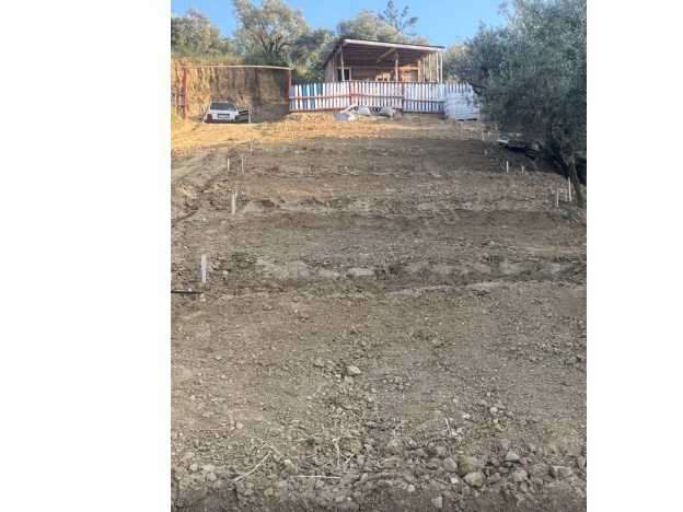 TURGUTLU SATILIK HOBİ BAHÇESİ YAYLA MAH 900M2 HEM YATIRIM HEM KEYİF İÇİN MUHTEŞEM BİR YER 