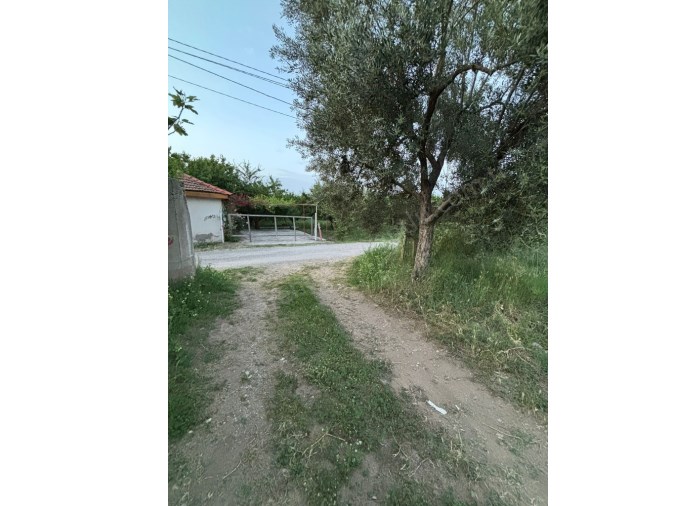 TURGUTLU SATILIK 11. MINTIKA DA 280M2 VE 630M2 TAPULARI AYRI HOBİ BAHÇELERİ ASFALT YOL 
