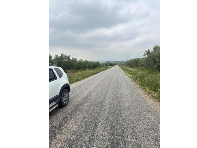 TURGUTLU SATILIK ASFALT ÜZERİ 1.850M2 URGANLI KAPLICALARINA YAKIN HOBİ BAHÇESİ TAPUSU AYRI 