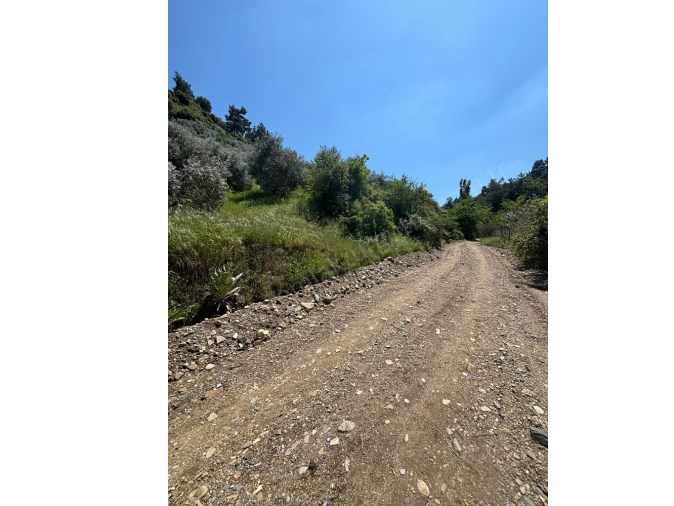 TURGUTLU SATILIK OSMANCIK TA 3.DÖNÜM MEYVE BAHÇESİ TEK TAPU YOLA CEPHE 