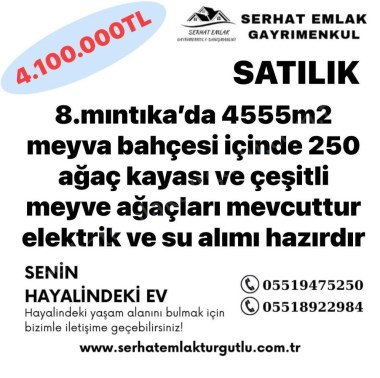 TURGUTLU SATILIK 8.MINTIKA 4555m2 TEK TAPU MEYVA BAHÇESİ