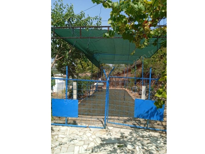 İZMİR  SATILIK KEMALPAŞA GÖKÇEYURT MAH 3 DÖNÜM ZEYTİNLİK İÇİNDE 2 KATLI MÜSTAKİL EV 