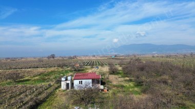 TURGUTLU SATILIK 10. MINTIKA 6.700M2 BAĞ 55M2 PREFABRİK EV 70 ADET AĞAÇ 7 KW JENARATÖR VAR YOLU VAR 