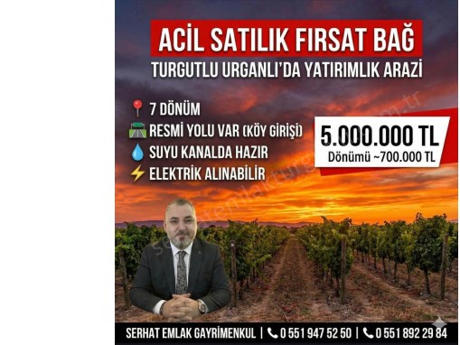 TURGUTLU SATILIK URGANLI MAH 7000M2 ÜZÜM BAĞI SU KANALDA HAZIR YOLU VAR 
