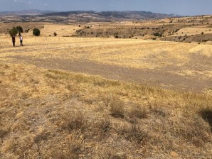 K.KAZAN GYODAN GÖVENÇ MAH.4.315M2 KAZAN MANZARALI SATILIK TARLA