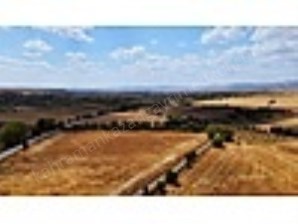 K.KAZAN GYODAN UÇARI MAH. YOL CEPHELİ 1390M2 EVİ BULUNAN BAHÇE