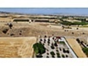 K.KAZAN GYODAN İĞMİR MAH.8000M2 KANALA CEPHE ETRAFI TELLİ TARLA