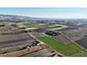 K.KAZAN GYODAN 12.967M2 SATILIK TARLA