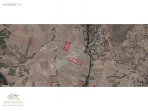 K.KAZAN GYODAN AKÇAÖREN MAHALLESİ SATILIK TARLALAR