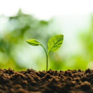 Gayrimenkul ve Altın Yatırımı Arasındaki Farklar Nelerdir ?