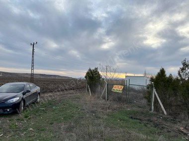 ETRAFI TELLİ ÇAM AĞAÇLARI BULUNAN 3059 M2 YOLU BULUNAN TARLA