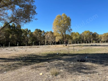 KKAZAN GYODAN KIZILCAHAMAM ÇEŞTEPEDE 713M2 DERE KENARINDA TARLA