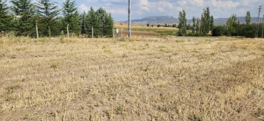 K.KAZAN GYODAN 10.400 M2 ELK.SU.DOĞALGAZ YOL MEVCUT KUPON TARLA