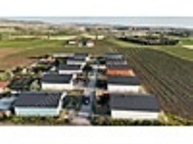 K.KAZAN GYODAN MERKEZE 3 KM MESAFEDE EVLİ BAHÇE