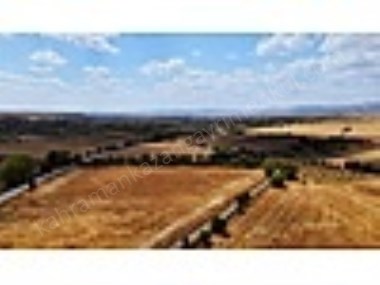 K.KAZAN GYODAN UÇARI MAH. YOL CEPHELİ 1390M2 EVİ BULUNAN BAHÇE