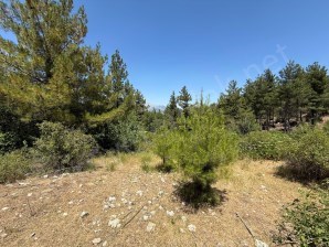 POZANTI AKÇATEKİR BÜRÜCEKTE 7069 M2 TEK TAPU TARLA 