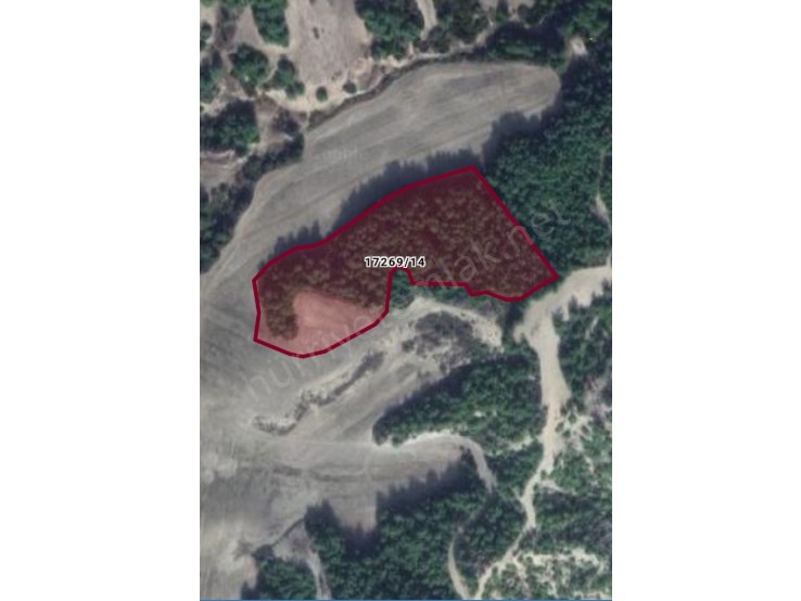 ÇUKUROVA SÖĞÜTLÜDE TEK TAPU 15434 M2 SATILIK ARSA
