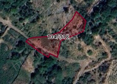 POZANTI HAMİDİYE DE 1477 m2 TEK TAPU SATILIK BAĞ