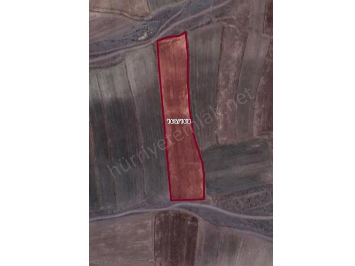 NİĞDE ULUKIŞLA BAŞMAKÇI DA 13000 M2 TEK TAPU SULU TARLA