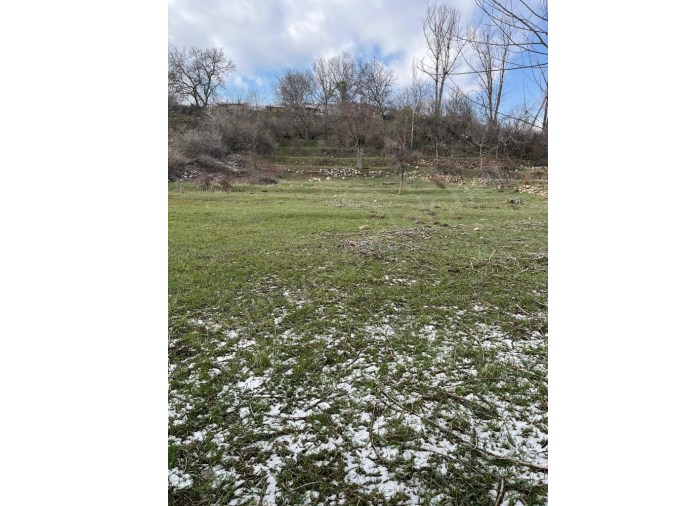 NİĞDE BOR POSTALLI DA 1560 M2 TEK TAPU BAHÇE
