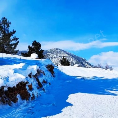 POZANTI YENİKONACIKTA KÖRMENLİK MEVKİİNDE  400 M2 SATILIK ARSA 
