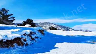 POZANTI YENİKONACIKTA KÖRMENLİK MEVKİİNDE  400 M2 SATILIK ARSA 