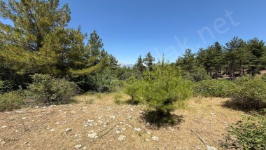 POZANTI AKÇATEKİR BÜRÜCEKTE 7069 M2 TEK TAPU TARLA 