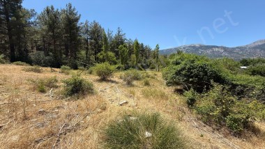 POZANTI BÜRÜCEKTE 7069 M2 SATILIK TARLA
