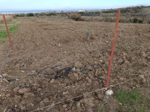 Kınalarda Denize Yakın Muhteşem Konumda Hobi Bahçesi