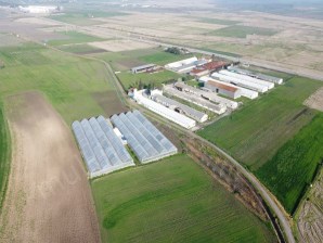 Organizeye Yakın Komple Çiftlik ve Seralar