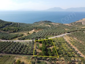 DENİZ MANZARALI BAĞ VASFINDA 2 DÖNÜM ARAZİ 