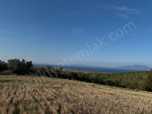 Bandırma Misakça Deniz Manzaralı Tarla